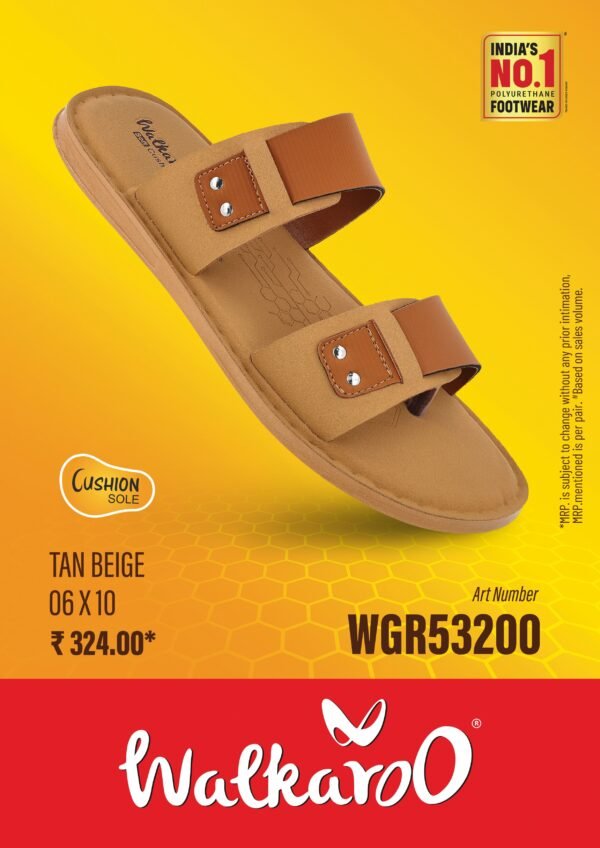 53200 TAN BEG 6*10