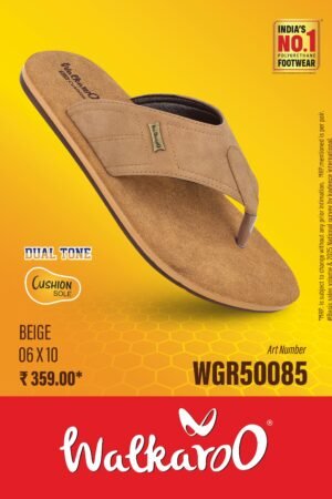 50085 BEG 6*10