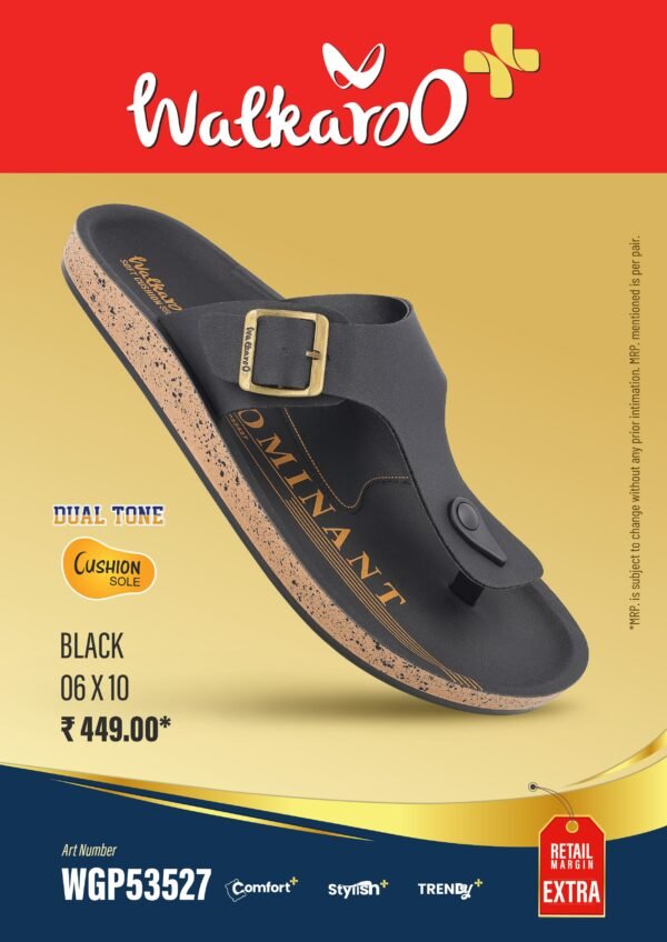 53527  BLK 6*10