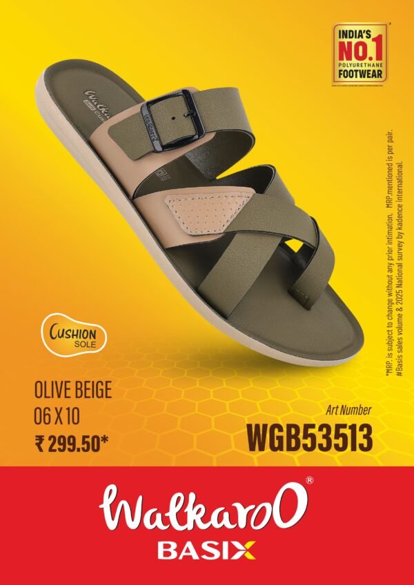 53513  OLIV BIG